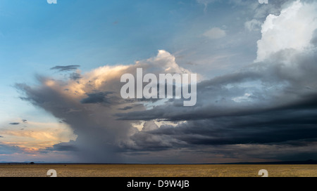 Formée au-dessus de la tempête à proximité des pentes du mont Kilimandjaro. Parc National d'Amboseli, Kenya, Afrique. Banque D'Images