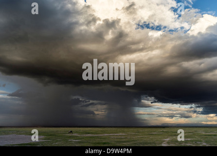 Formée au-dessus de la tempête à proximité des pentes du mont Kilimandjaro. Parc National d'Amboseli, Kenya, Afrique. Banque D'Images