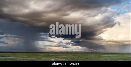 Formée au-dessus de la tempête à proximité des pentes du mont Kilimandjaro. Parc National d'Amboseli, Kenya, Afrique. Banque D'Images