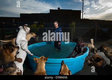 LOS ANGELES, CA - 6 juin : "Cesar Millan, le Dog Whisperer", dans l'Est de Los Angeles en Californie aux États-Unis le 10 janvier 2007. Banque D'Images