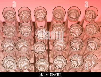 Close-up d'un ensemble de tubes à essai alignés dans un rack sur un fond rouge Banque D'Images