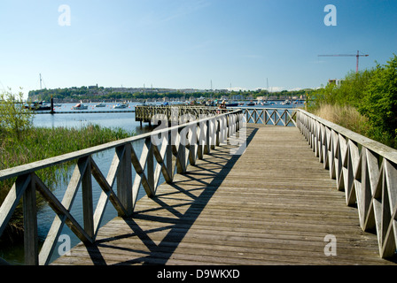 Passerelle, Cardiff Bay wetlands réserve naturelle, Cardiff, Pays de Galles. Banque D'Images