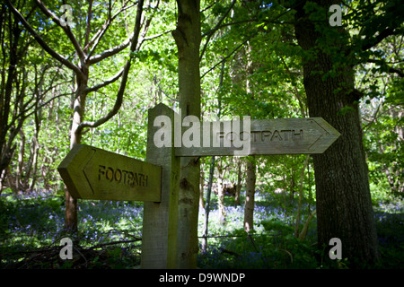 Sentier Public signe dans un bois bluebell en lumière pommelé Banque D'Images