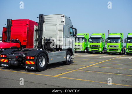 Camions de l'usine de montage de camions Volvo attendent d'être chargés sur des navires RORO / au port de Gand, Belgique Banque D'Images