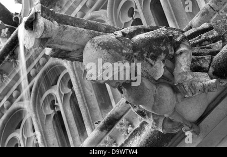 TOLEDO - 8 mars : Détail d'animal comme spoutler gothique dans la pluie à partir d'atrium de Monasterio de San Juan de los Reyes Banque D'Images