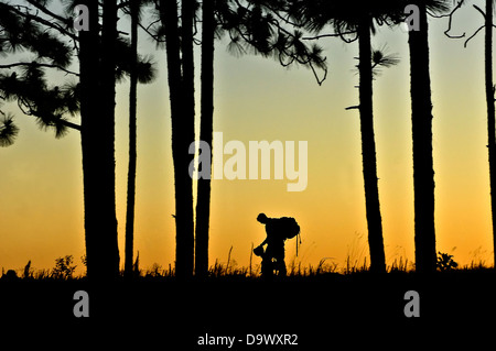 Un soldat américain avec la 82e Division aéroportée est découpé par le coucher du soleil après avoir suivi une route mars à se qualifier pour un expert Infantryman Badge le 14 juin 2013 à Fort Bragg, NC. Banque D'Images