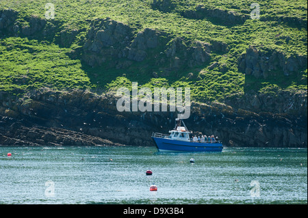 La Dale Princess touring autour de Skomer Sud, Pembrokeshire, Pays de Galles, Royaume-Uni Banque D'Images