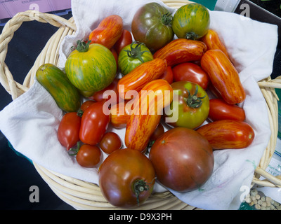 Heirloom tomatoes on displya à un stand d'agriculture du comté de Snohomish au Evergreen State Fair à Monroe, WA. Banque D'Images