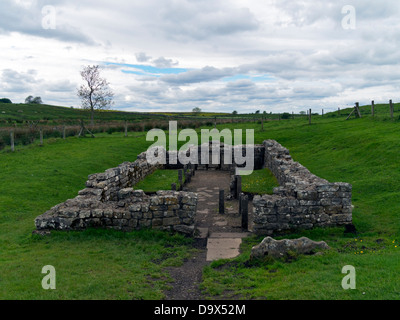 Temple romain de Mithra, Carrawburgh, mur d'Hadrien, Northumberland, England, UK Banque D'Images