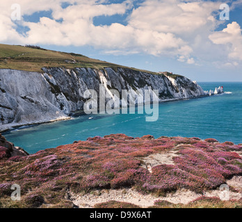 Les aiguilles des falaises de craie sur le littoral, à l'île de Wight, Royaume-Uni, journée ensoleillée Banque D'Images