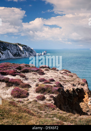 Les aiguilles des falaises de craie sur le littoral, à l'île de Wight, Royaume-Uni, journée ensoleillée Banque D'Images