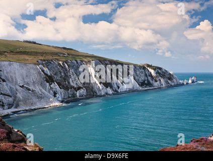 Les aiguilles des falaises de craie sur le littoral, à l'île de Wight, Royaume-Uni, journée ensoleillée Banque D'Images