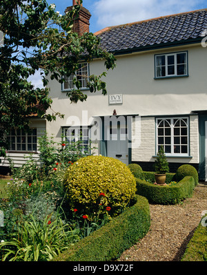 Gîte du 17ème siècle peints en blanc avec une faible couverture de buis taillés et round golden privet dans jardin de devant avec sentiers en gravier Banque D'Images