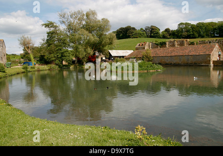 Étang et granges Abbotsbury Dorset England UK Banque D'Images