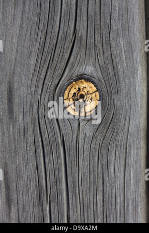 Weathered Wood avec noeud de contexte Banque D'Images