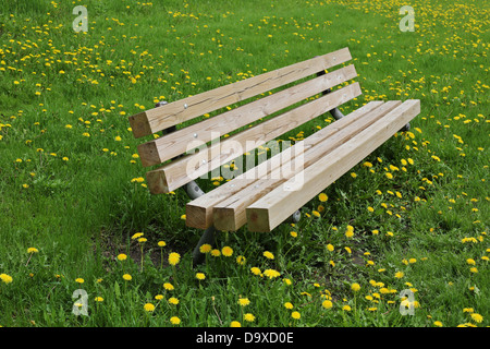 Un banc dans un champ rempli de fleurs de pissenlit jaune. Banque D'Images