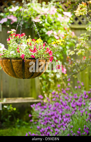 Panier de fleurs suspendus dans le jardin Banque D'Images