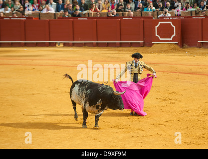 Séville, ESPAGNE - Avril 28 : Matador Juan Jose Padilla à Maestranza, 28 avril 2012 à Séville, Espagne Banque D'Images