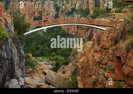 Passerelle Blyde River à Bourke's Luck potholes, Blyde River Canyon, réserve naturelle de la province de Mpumalanga, Afrique du Sud Banque D'Images