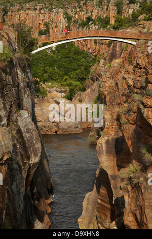 Passerelle Blyde River à Bourke's Luck potholes, Blyde River Canyon, réserve naturelle de la province de Mpumalanga, Afrique du Sud Banque D'Images