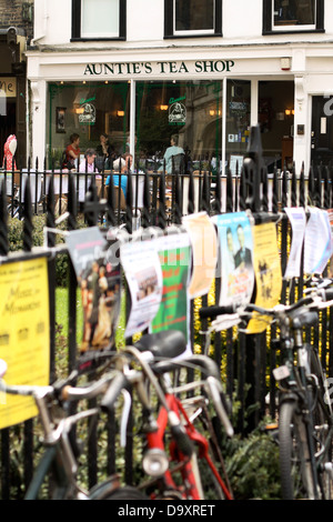 Bikes enchaîné devant un magasin de thé dans la région de centre-ville de Cambridge. Banque D'Images