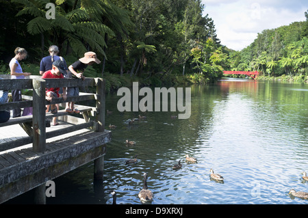 Dh Parc Pukekura New Plymouth Nouvelle-zélande chez les canards les garçons dans l'eau enfants kids Banque D'Images
