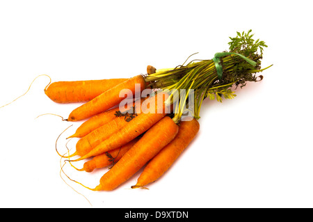 Des carottes sur un fond blanc Banque D'Images