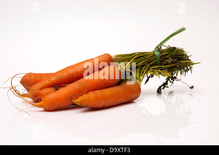 Des carottes sur un fond blanc Banque D'Images