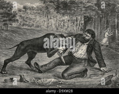 Un conflit meurtrier. Le ravisseur déjoué. Un chien attaque un homme avec sa femme pendant que la femme s'éloigne, vers 1892 Banque D'Images