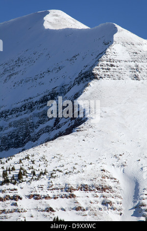 Paysage de montagne au-dessus de la tête de lézard dans les montagnes de San Juan près de Telluride, Colorado. Banque D'Images