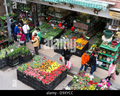 Marché aux Fleurs dh Mong Kok Hong Kong, les gens dans le magasin de fleurs rue des fleurs du Nouvel An chinois Banque D'Images