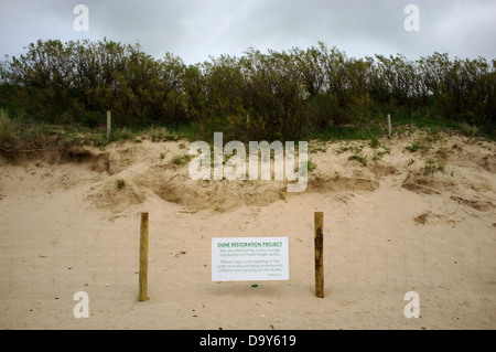 Un signe de notification à gens de la dune au projet de restauration de la baie de Daymer, rock, Cornwall, England, UK. Banque D'Images