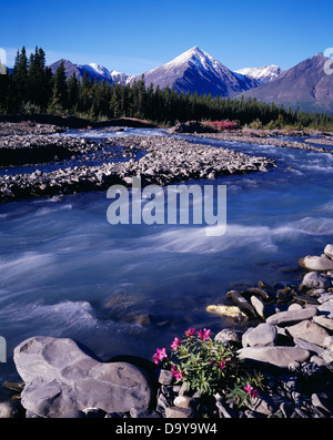 Le Canada, Territoire du Yukon, du parc national Kluane, ruisseau Quill découlant de Saint Elias Banque D'Images