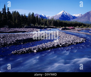 Le Canada, Territoire du Yukon, du parc national Kluane, ruisseau Quill découlant de Saint Elias Banque D'Images