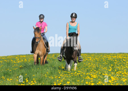 Deux jeunes cavaliers sur le dos de poneys équitation dans un pré de fleurs au printemps Banque D'Images