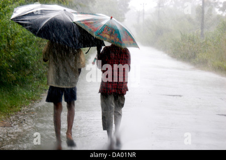 Deux jeunes hommes holding umbrella et marcher sur la route sur un jour de pluie,kerala,Inde du sud,Inde,asia Banque D'Images