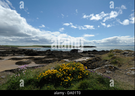 Elie Harbour, Scottland Banque D'Images