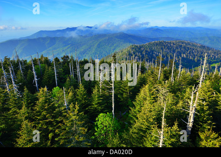 Vue depuis le pont d'observation de l'Clingman Dome dans les Great Smoky Mountains. Banque D'Images