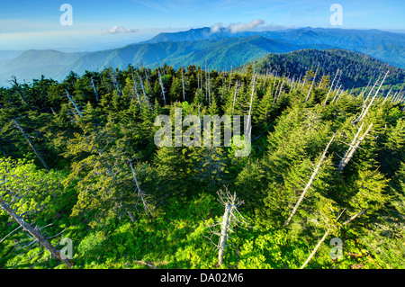 Vue depuis le pont d'observation de l'Clingman Dome dans les Great Smoky Mountains. Banque D'Images