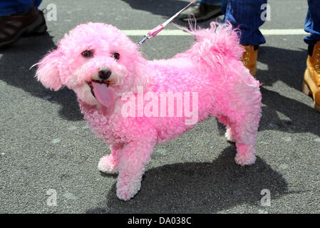 Londres, 29 juin 2013. Les marcheurs de fierté Londres Gay Pride Parade 2013, Londres, Angleterre Crédit : Paul Brown/Alamy Live News Banque D'Images