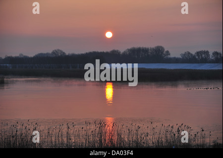 Sur l'Elbe près de Hoopte Matin d'hiver Banque D'Images