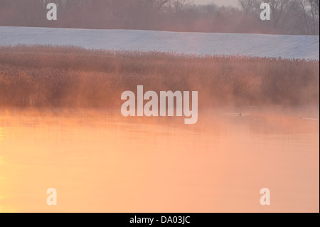 Sur l'Elbe près de Hoopte Matin d'hiver Banque D'Images