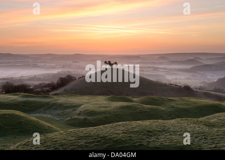 Colmer's Hill, dans le Dorset, au lever du soleil sur un misty tôt le matin au début du printemps. Banque D'Images