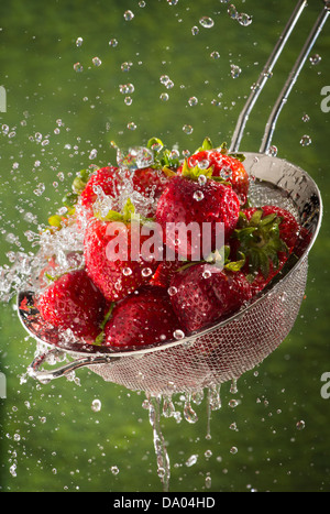 Laver les fraises avec de la crépine dans les éclaboussures d'eau Banque D'Images
