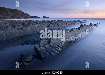 Une section de roche en forme comme un crocodile préhistorique sur Welcombe Bouche Beach, North Devon, UK. Banque D'Images