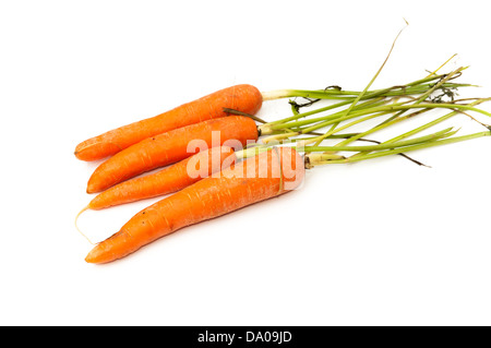 Botte de carottes sur un fond blanc Banque D'Images