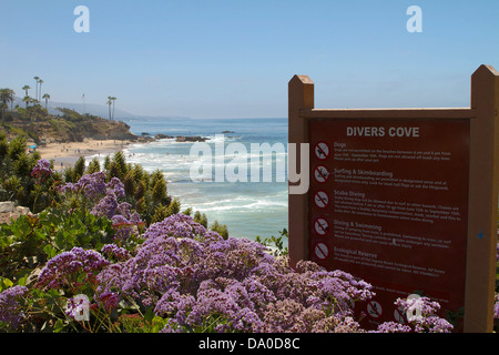 En regardant vers le sud sur la falaise à Laguna Beach en Californie plongeurs cove Banque D'Images