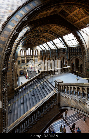 Natural History Museum de Londres Banque D'Images