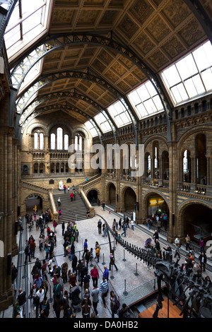 Natural History Museum de Londres Banque D'Images