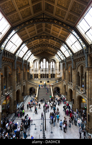 Natural History Museum de Londres Banque D'Images